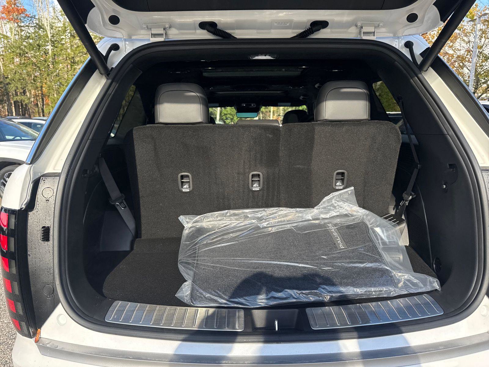 New 2026 Hyundai Palisade Calligraphy image 11