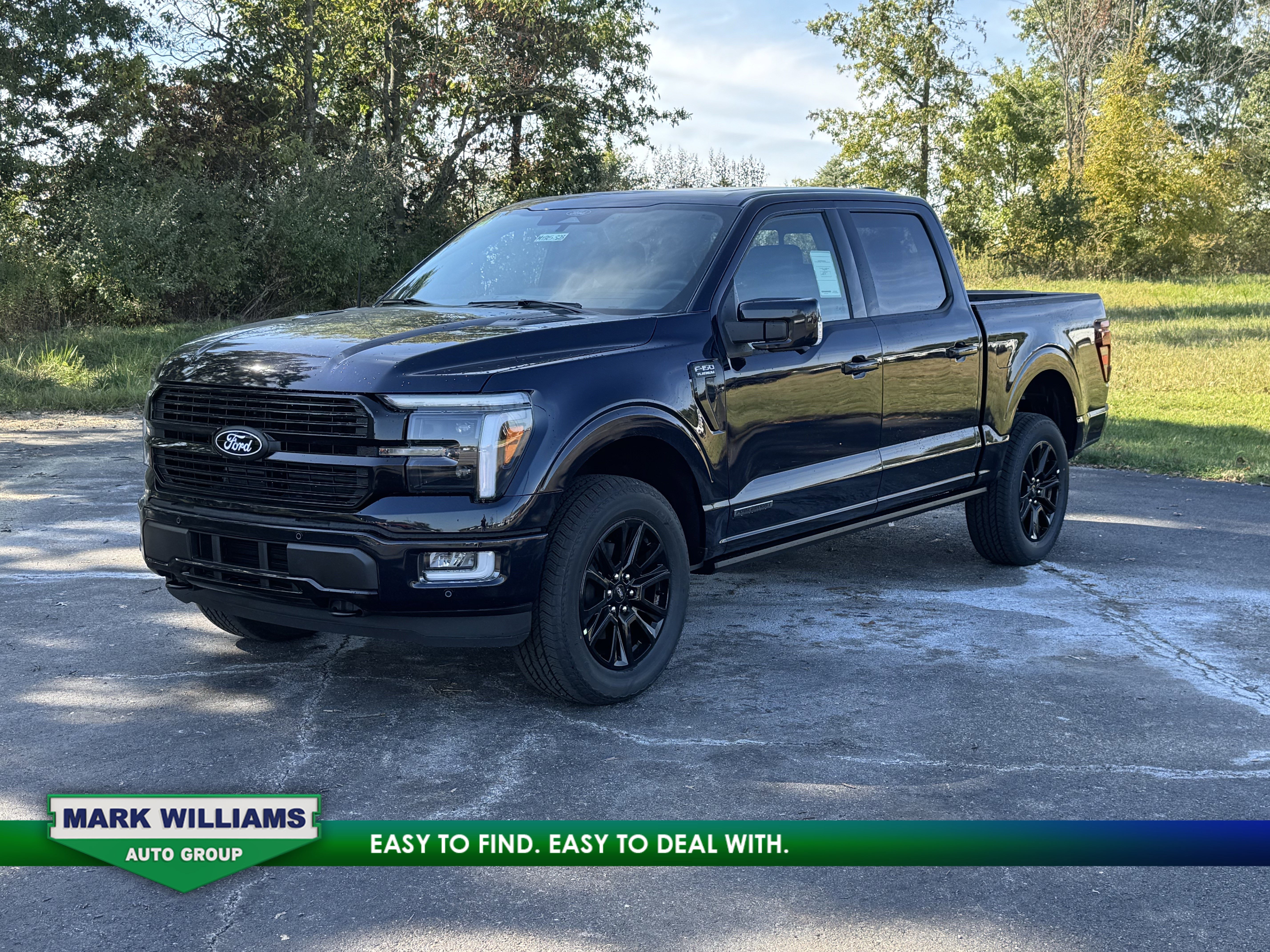 New 2025 Ford F150 Platinum