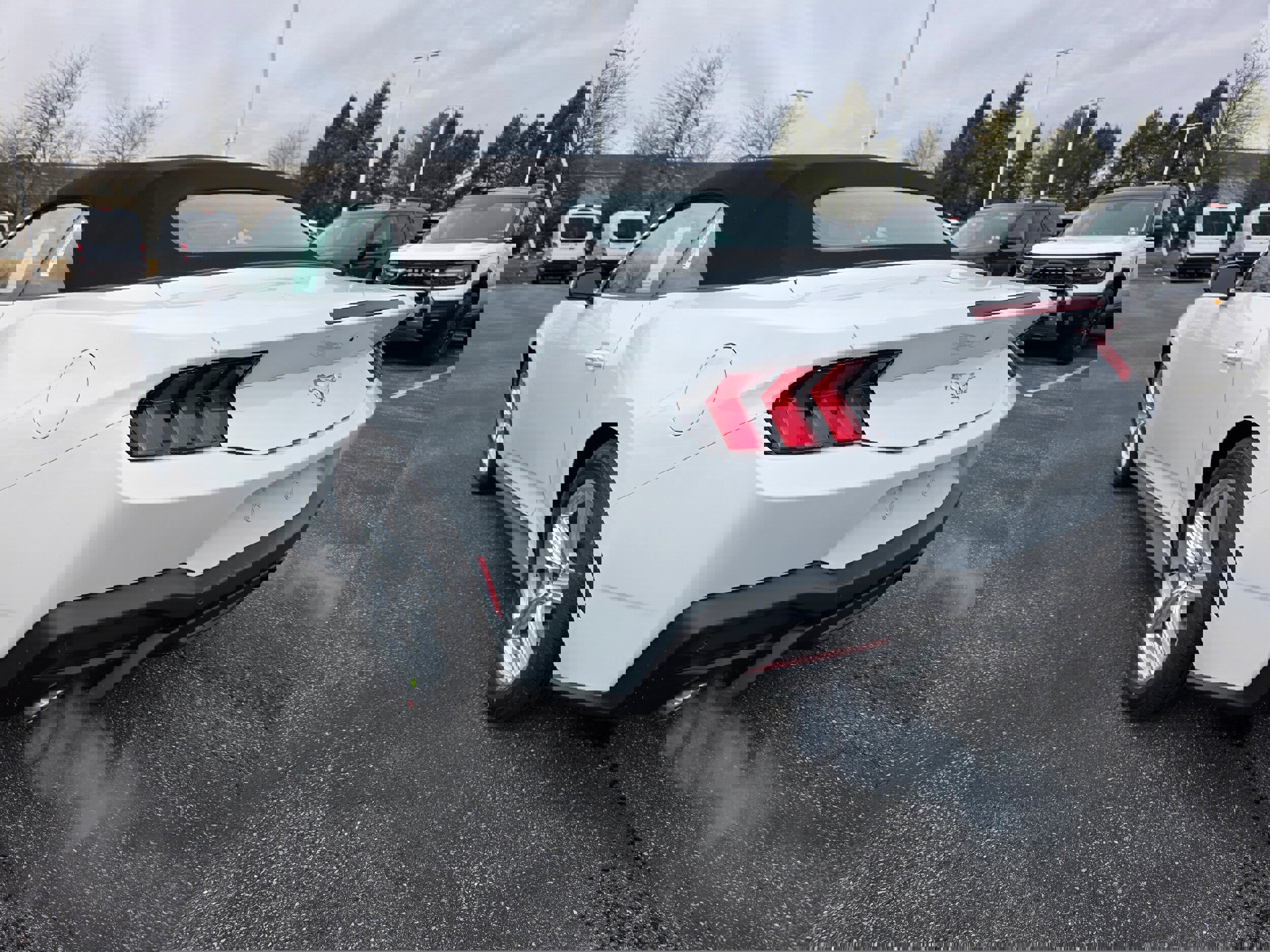 New 2026 Ford Mustang Premium w/ Anti-Theft Package image 10