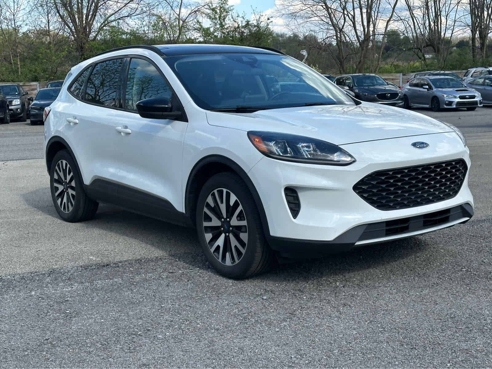 Used 2020 Ford Escape SE Sport AWD/4WD image 3
