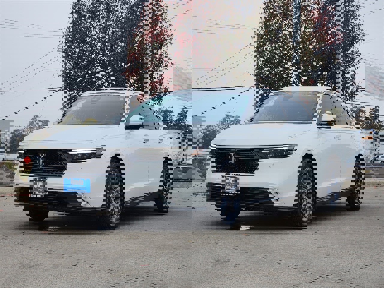 Used 2024 Honda Accord EX-L image 3