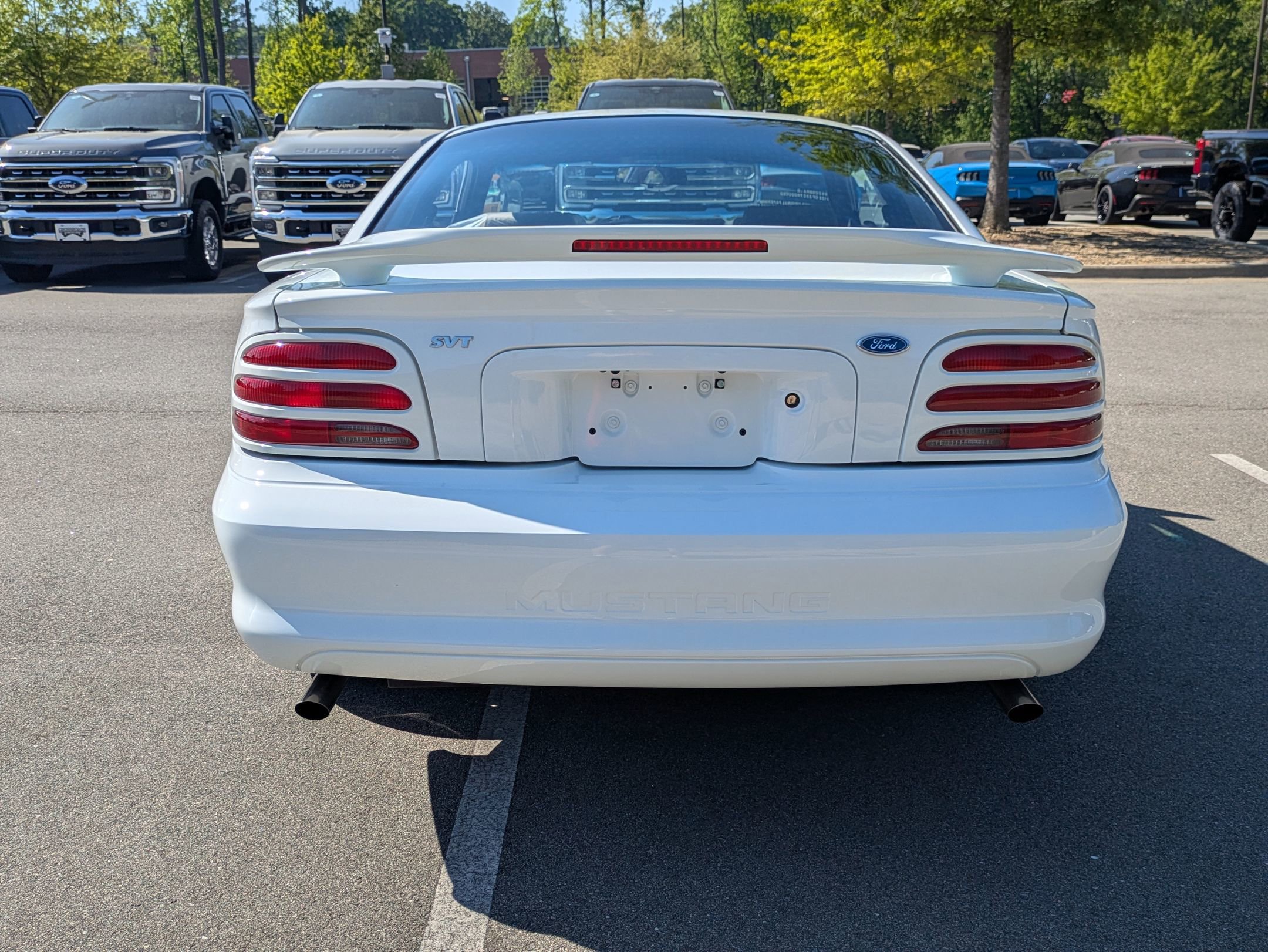 Used 1995 Ford Mustang Cobra R image 5