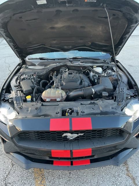 Used 2019 Ford Mustang Premium image 2