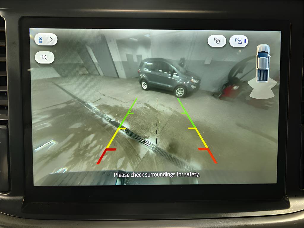 Used 2025 Ford F150 XLT w/ Equipment Group 301A Standard image 12