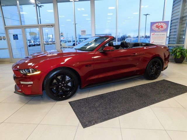 Used 2019 Ford Mustang GT Premium w/ Equipment Group 401A image 6