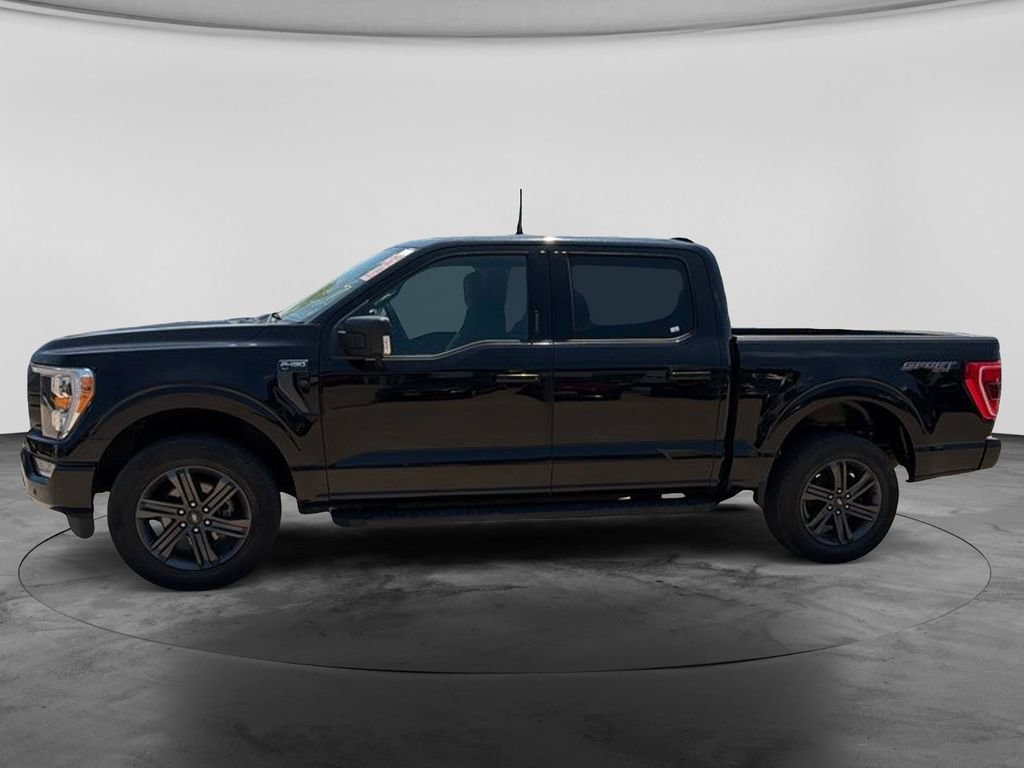 Used 2023 Ford F150 XLT w/ Equipment Group 302A High AWD/4WD image 8