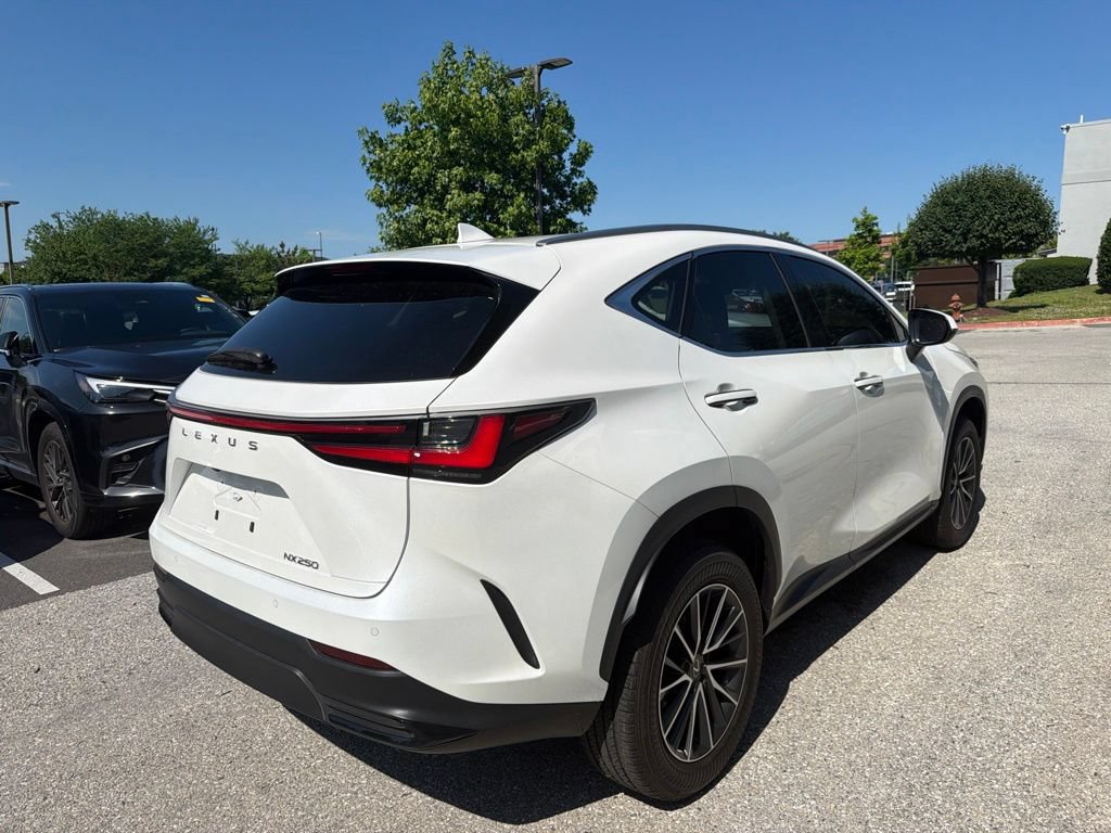 Certified 2024 Lexus NX 250 FWD image 10