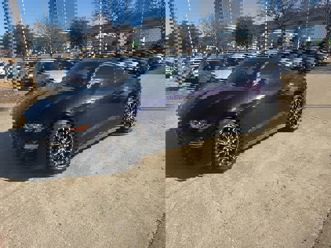 Used 2022 Ford Mustang Coupe w/ Equipment Group 101A image 2