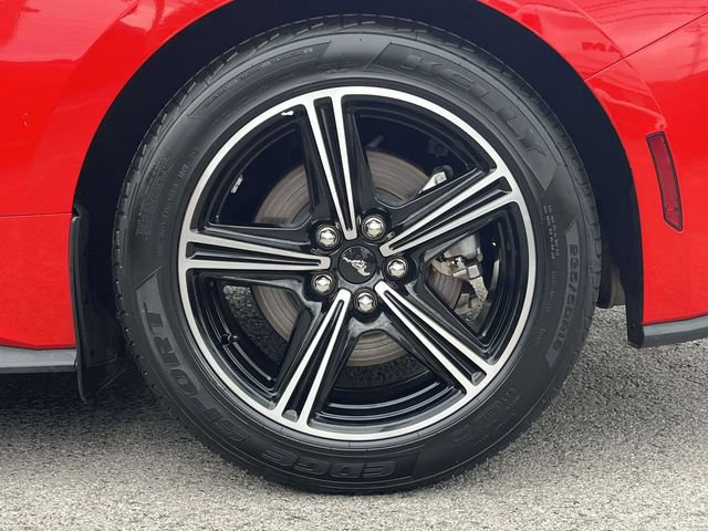 Used 2024 Ford Mustang Coupe RWD image 14