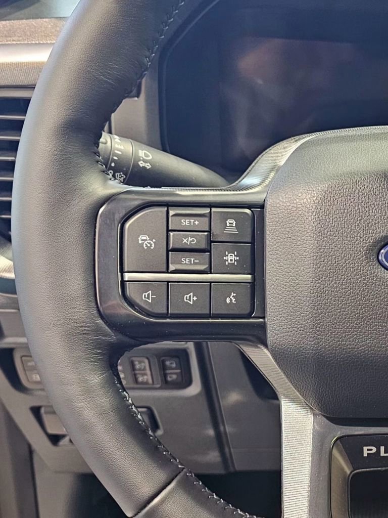 New 2025 Ford F150 Platinum w/ Equipment Group 702A High image 18