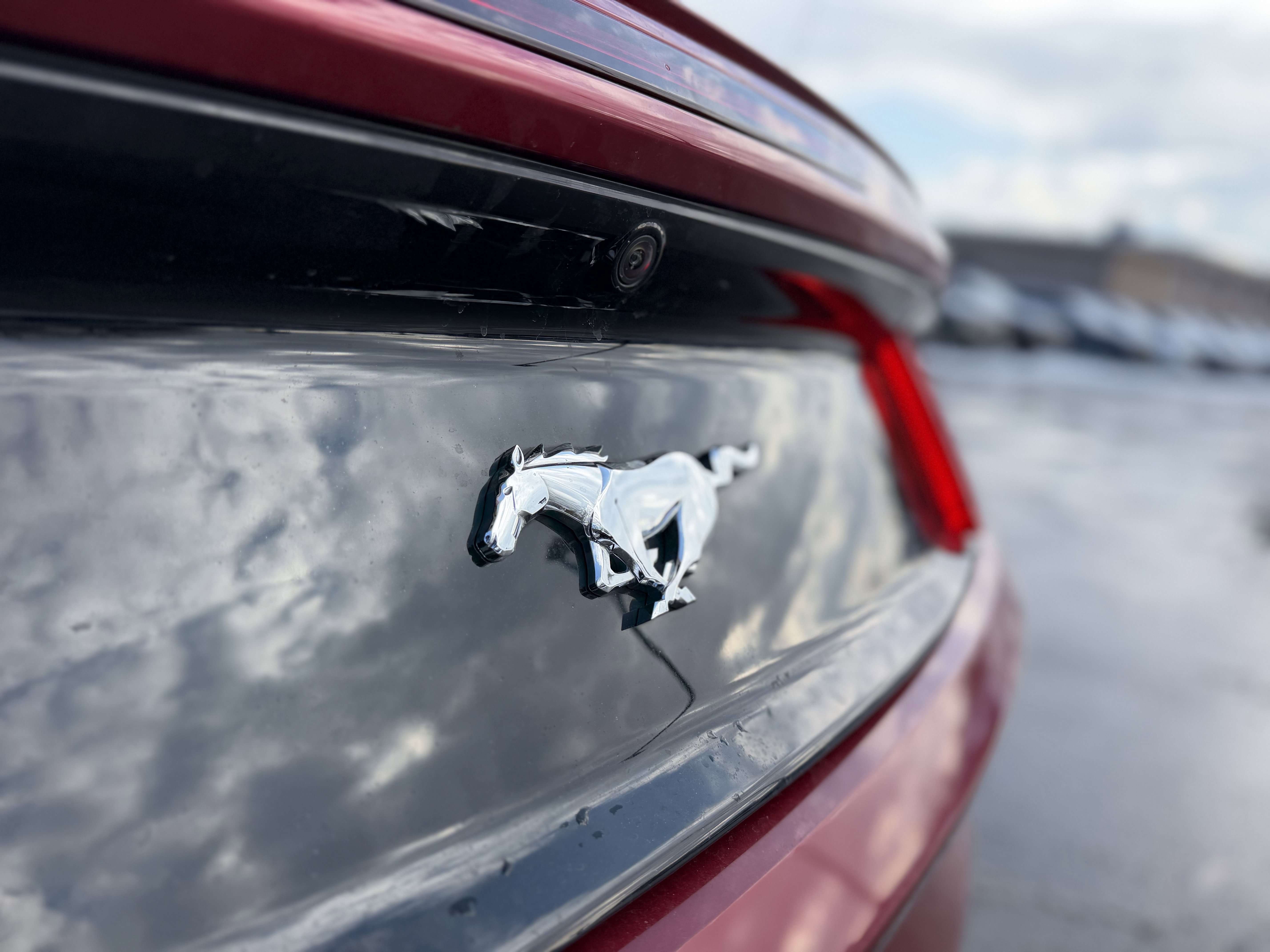 Used 2017 Ford Mustang Premium w/ Wheel & Stripe Package image 6