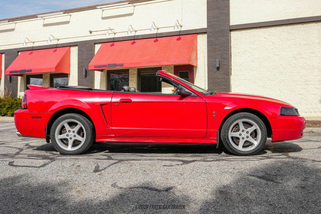 Used 1999 Ford Mustang Cobra RWD image 9