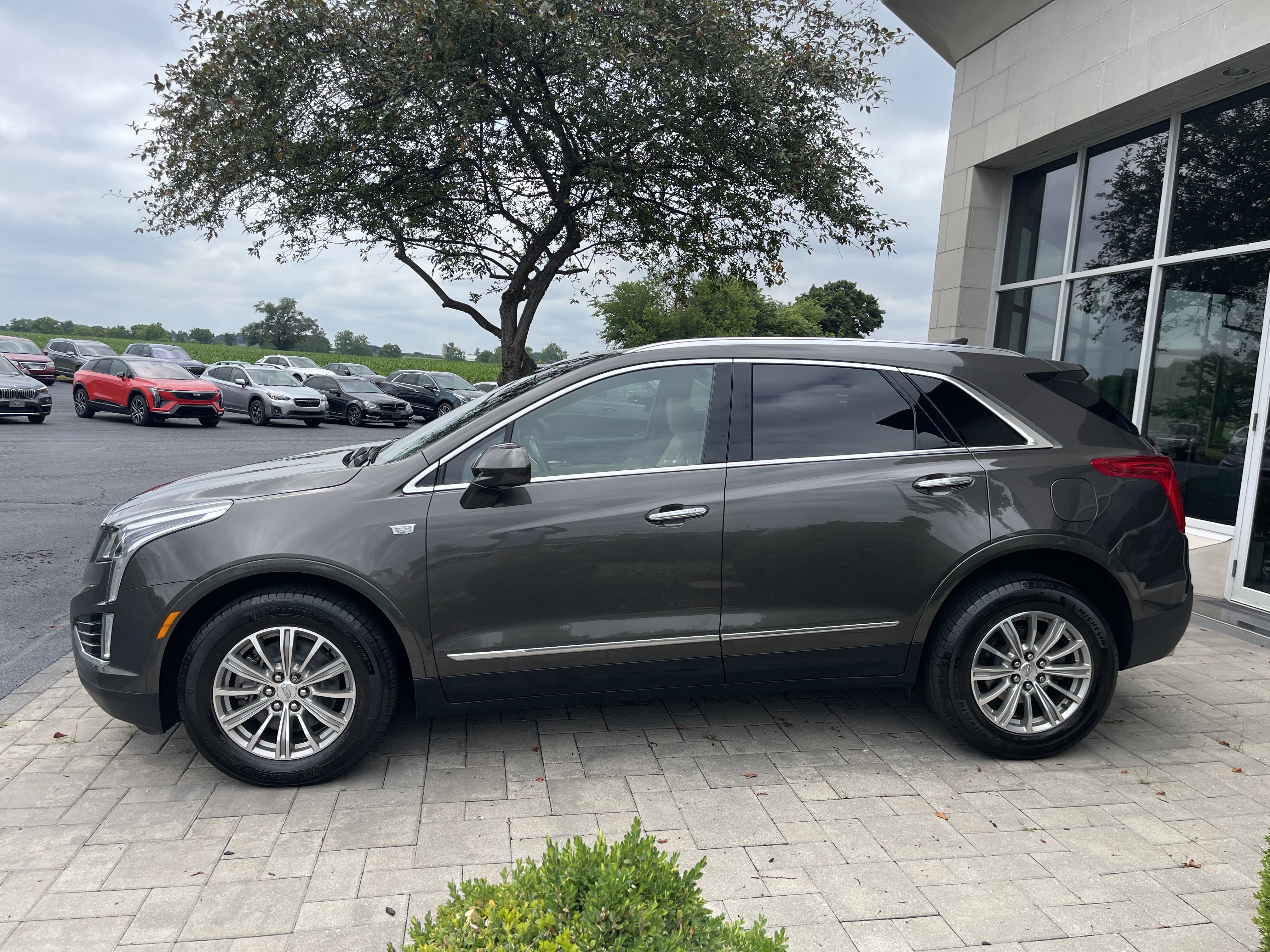 Used 2019 Cadillac XT5 Luxury AWD/4WD image 5