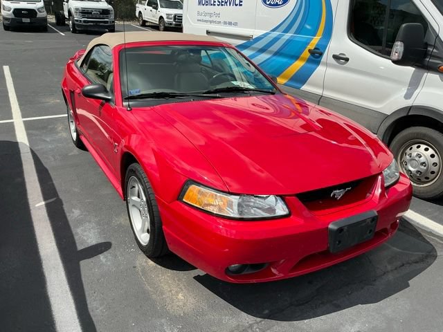 Used 1999 Ford Mustang Cobra RWD image 3