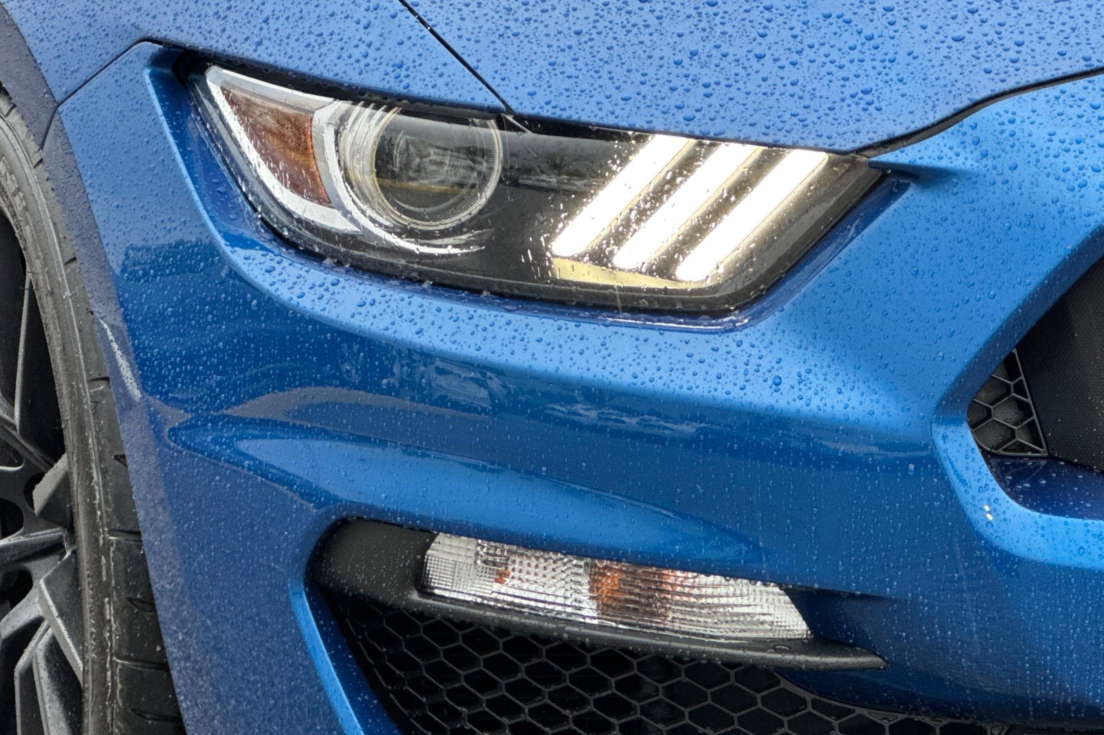 Used 2017 Ford Mustang Shelby GT350 image 10