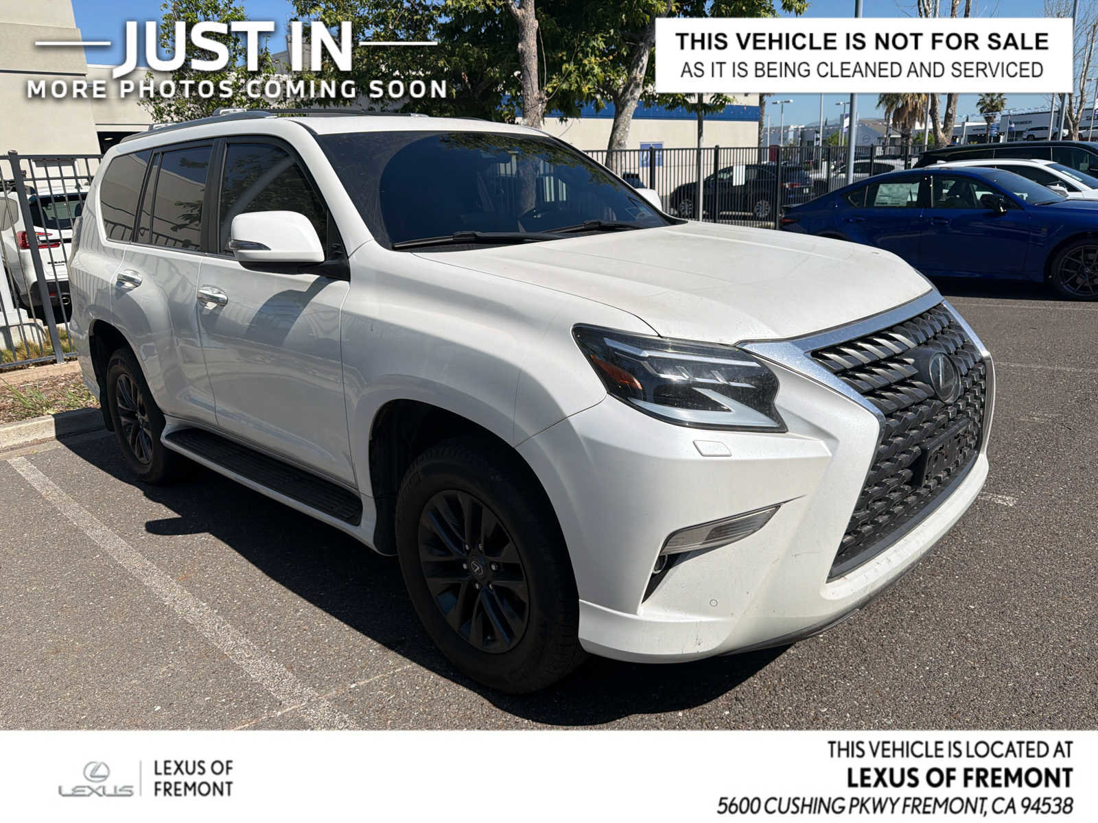 Used 2023 Lexus GX 460 Premium w/ Premium Package image 1