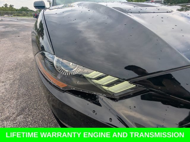Used 2018 Ford Mustang GT w/ Equipment Group 301A RWD image 11