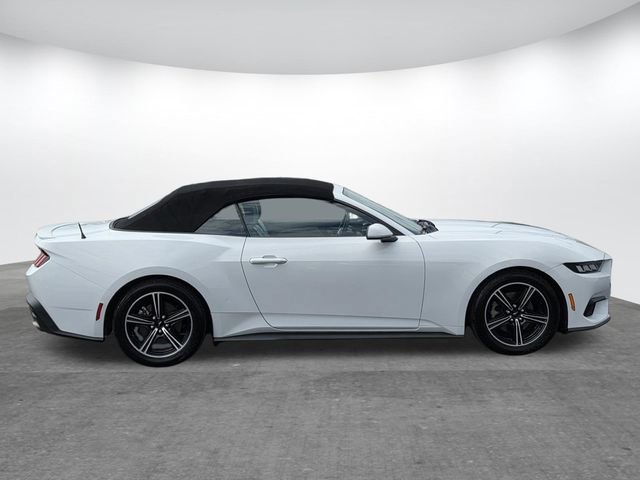 Used 2024 Ford Mustang Premium RWD image 4