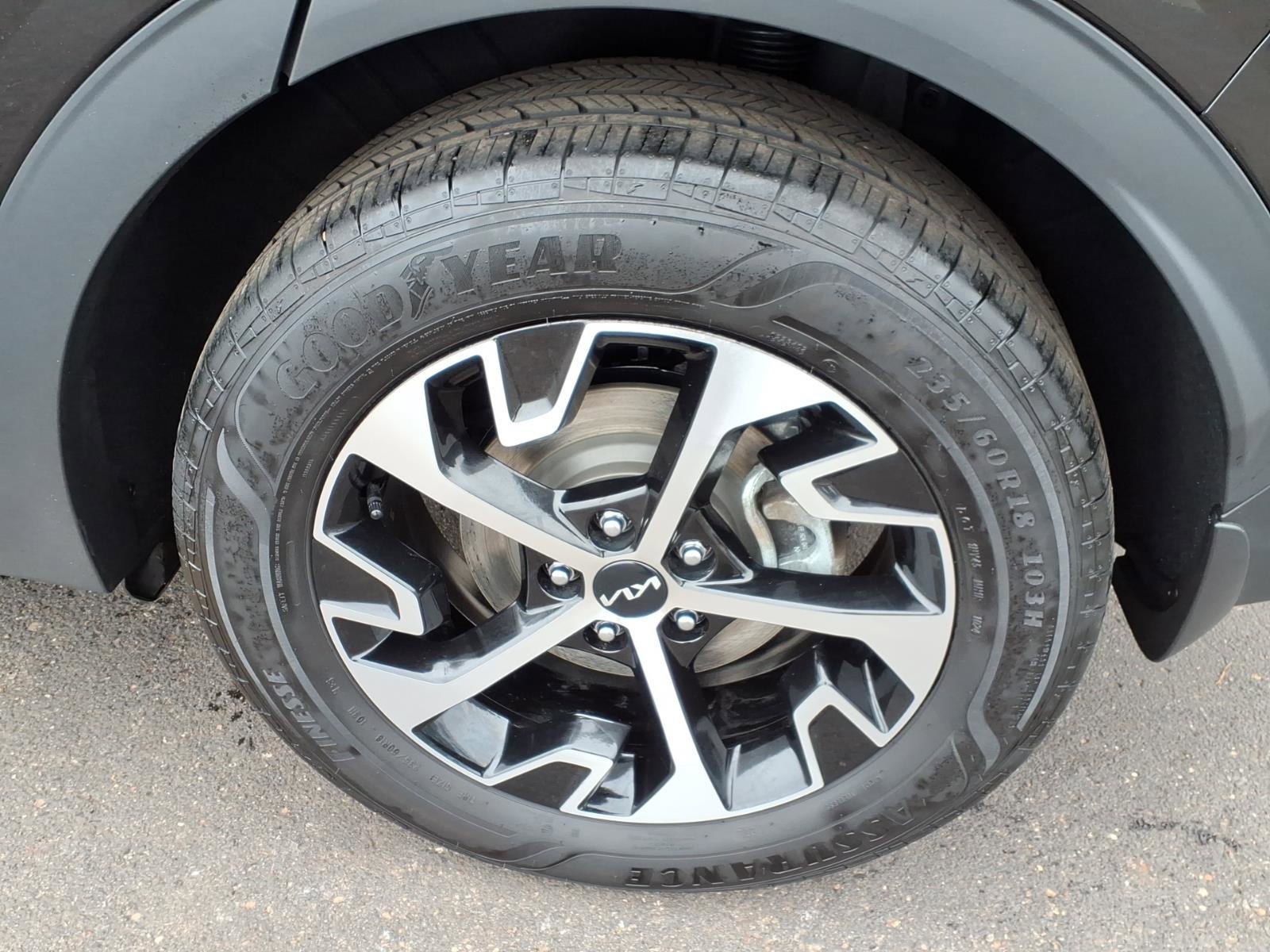 Used 2024 Kia Sportage EX w/ EX Premium Package image 14