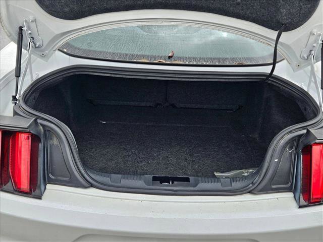 Used 2015 Ford Mustang Coupe w/ Equipment Group 051A image 7