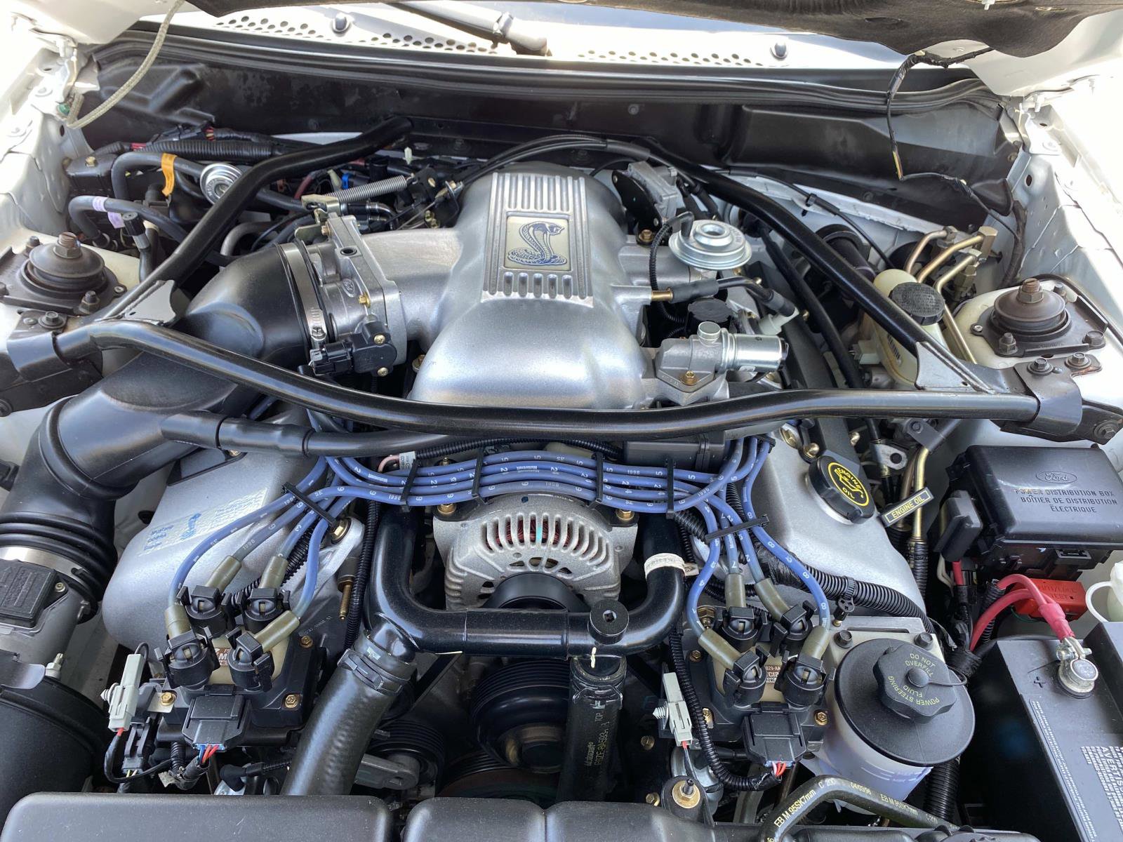 Used 1996 Ford Mustang Cobra RWD image 10