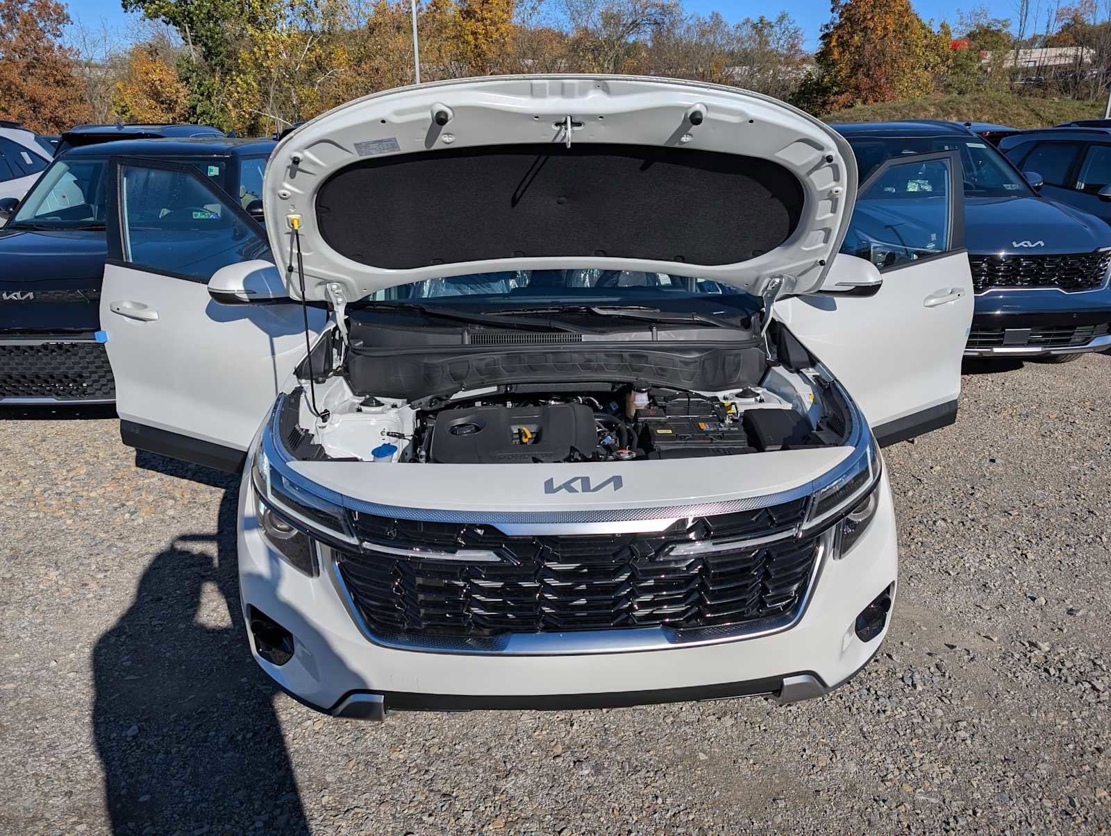 New 2026 Kia Seltos S image 10