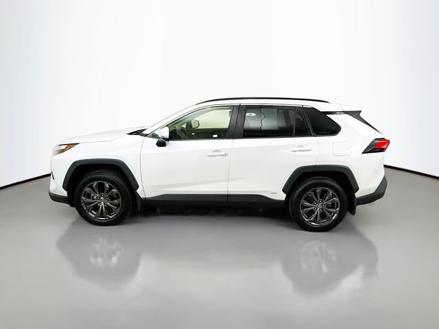Used 2023 Toyota RAV4 XLE Premium AWD/4WD image 4