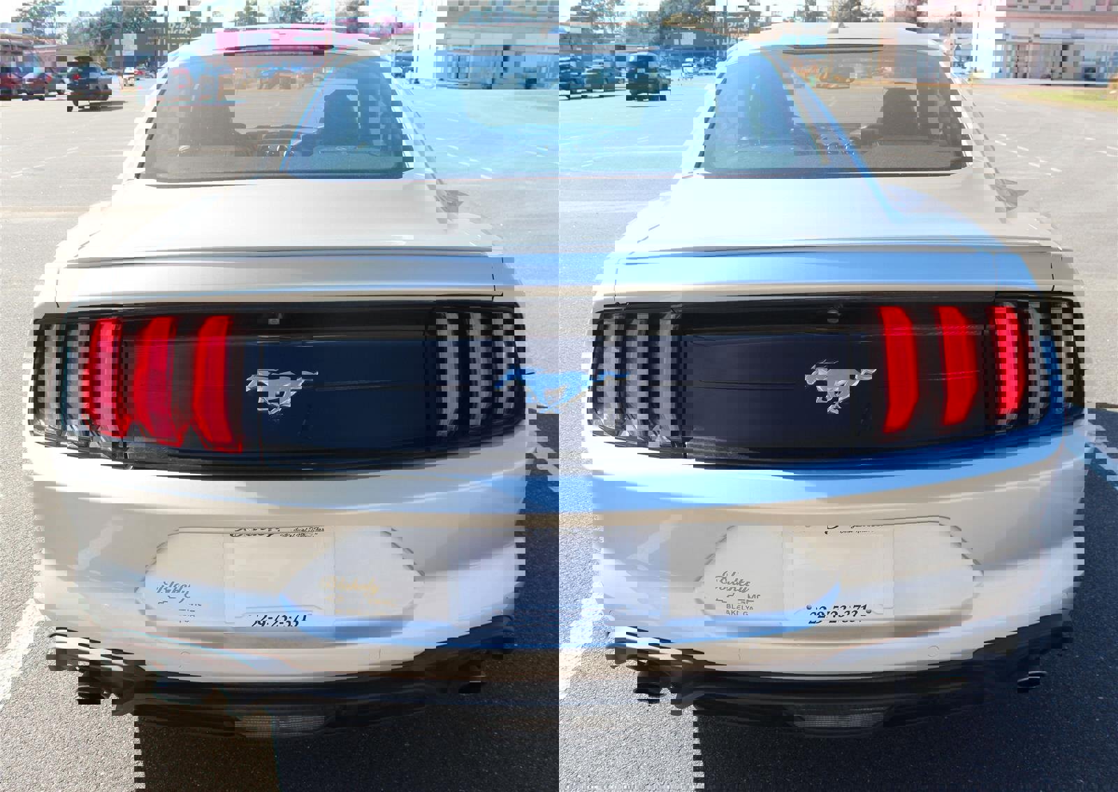 Used 2019 Ford Mustang Premium image 6