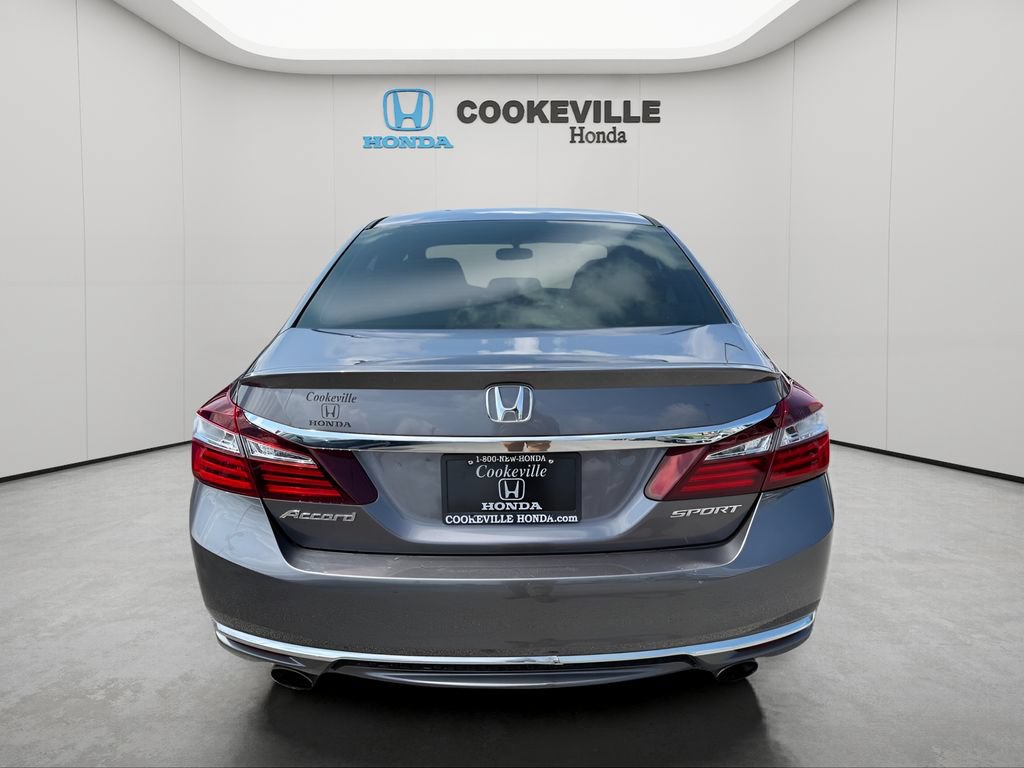 Used 2017 Honda Accord Sport image 6