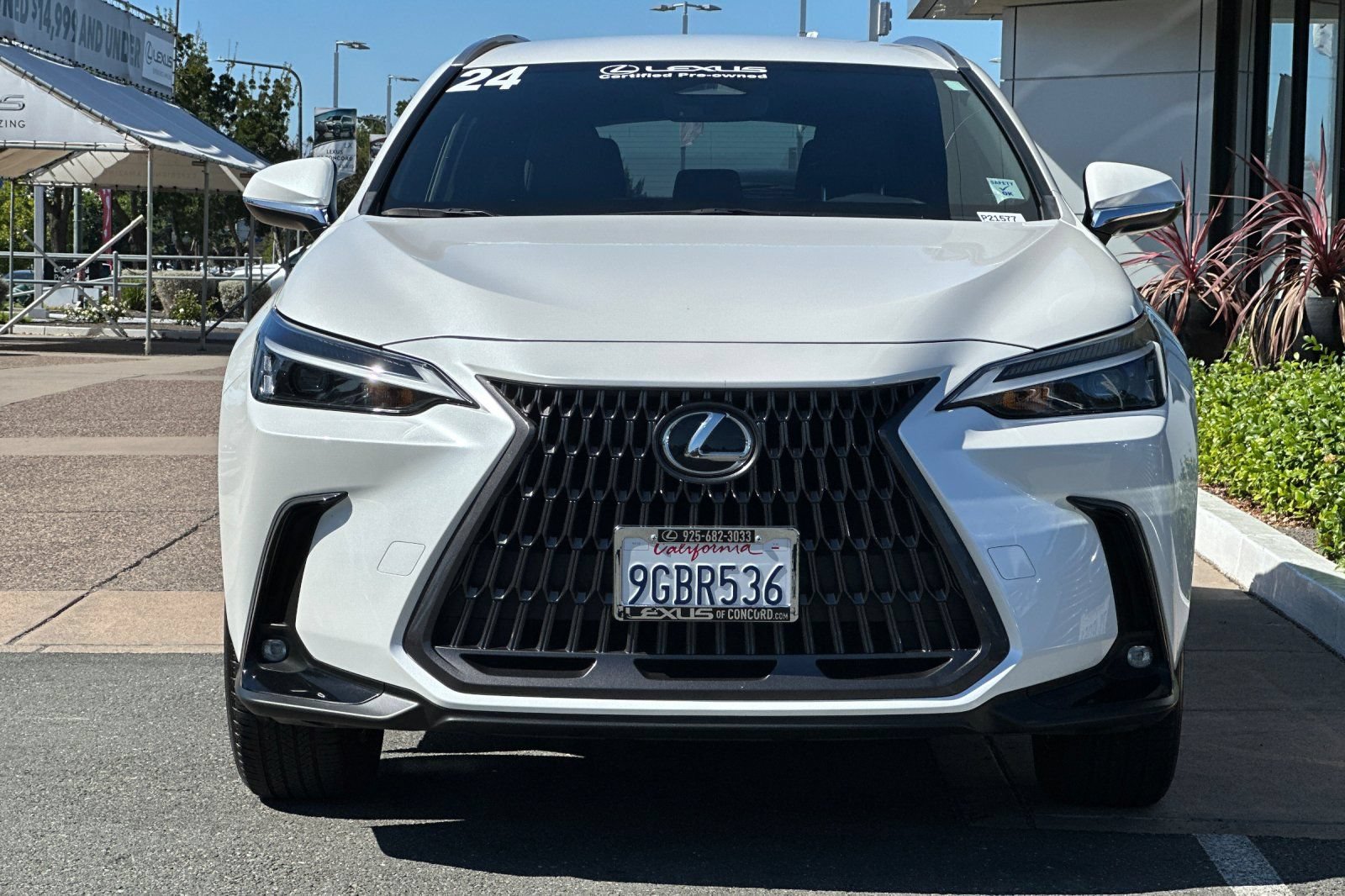 Certified 2024 Lexus NX 250 FWD image 6