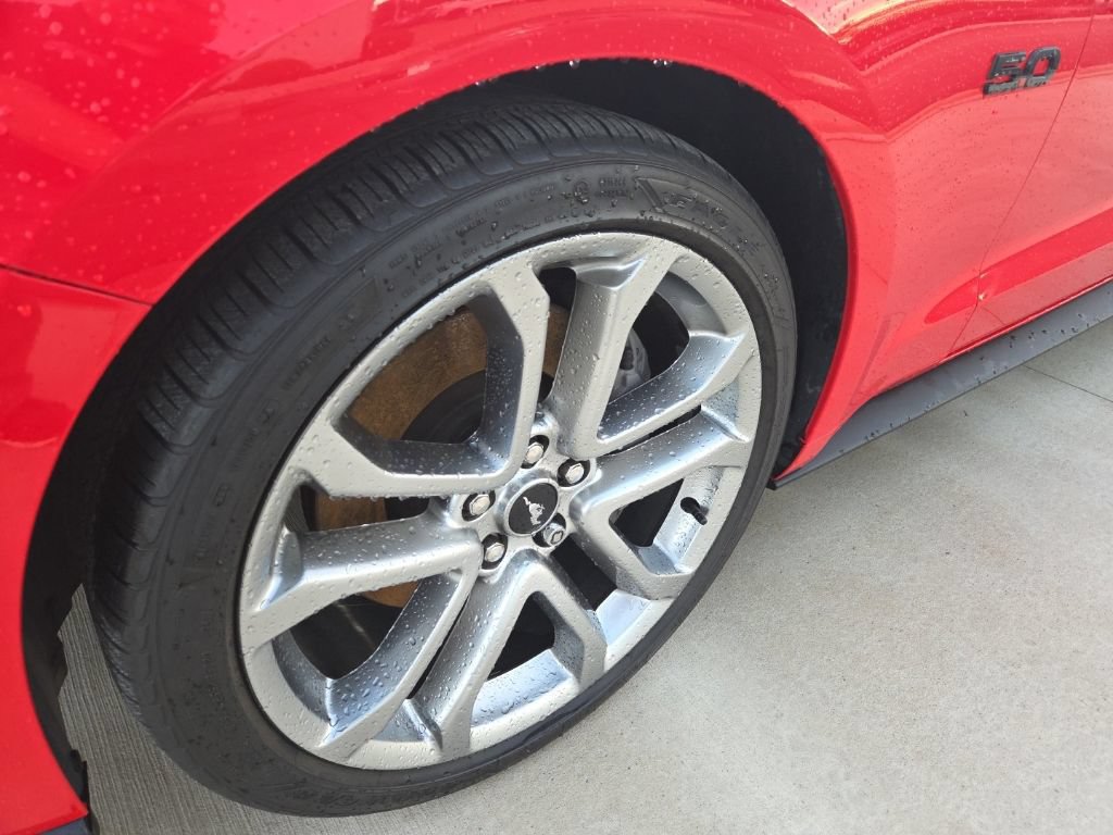 Used 2019 Ford Mustang GT Premium w/ Equipment Group 401A RWD image 2