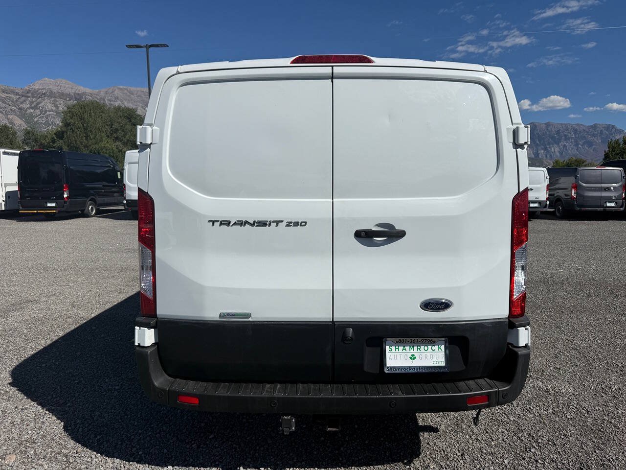 Used 2020 Ford Transit 250 Low Roof RWD image 4