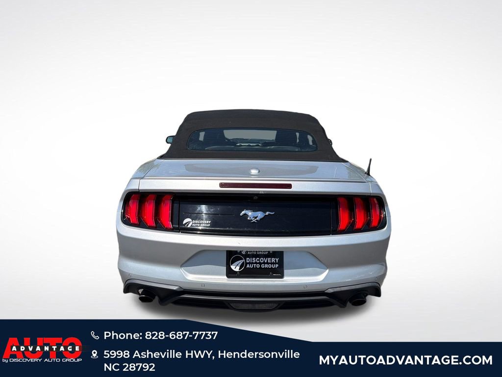 Used 2019 Ford Mustang Premium w/ Equipment Group 201A RWD image 6