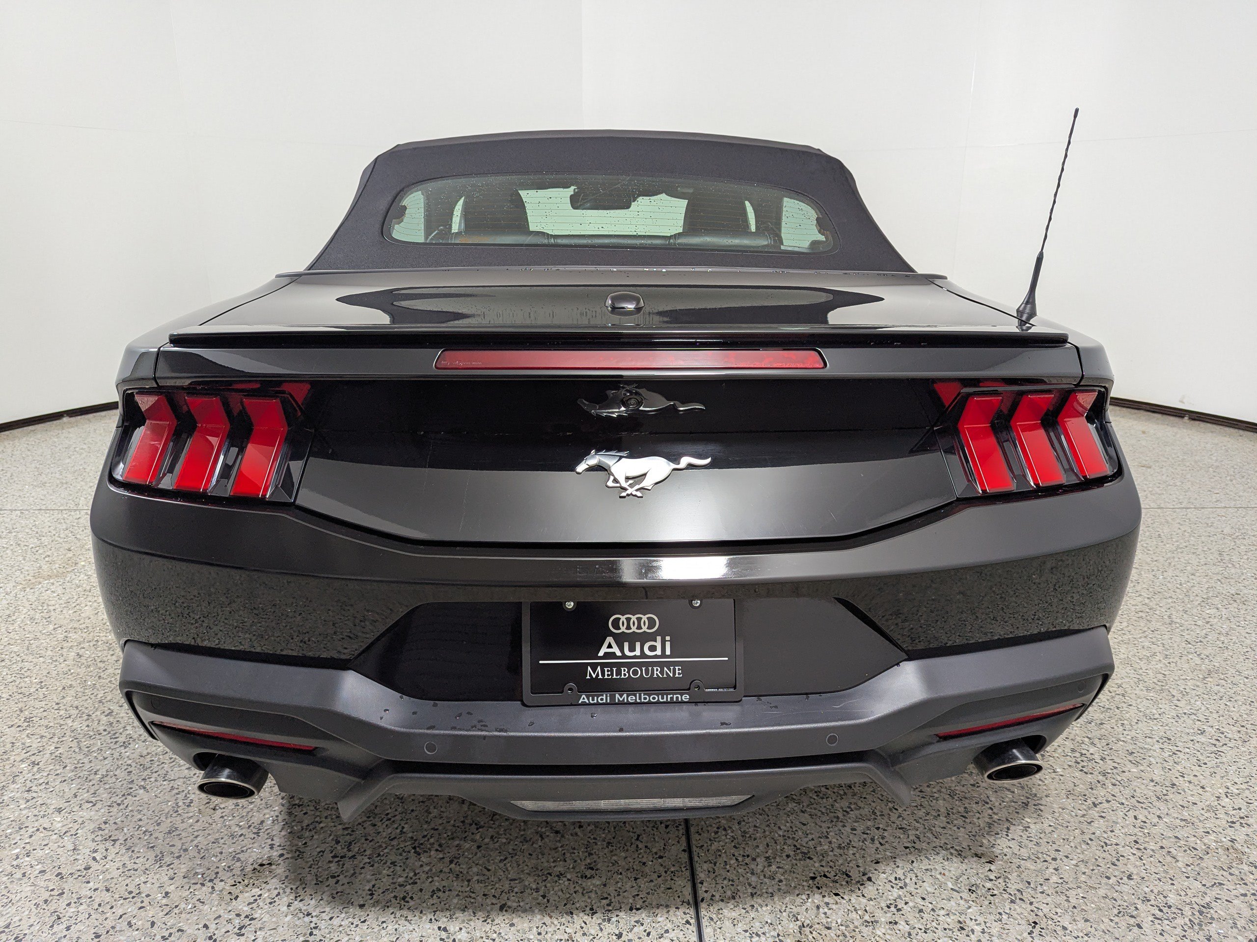Used 2024 Ford Mustang Premium RWD image 6