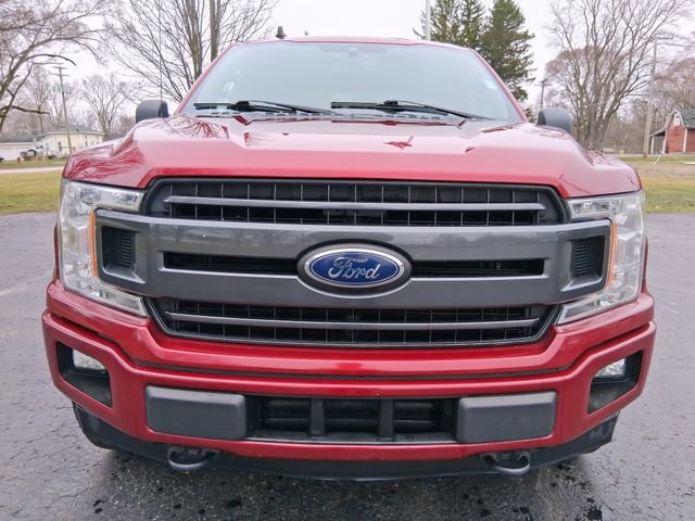 Used 2019 Ford F150 XLT w/ Equipment Group 302A Luxury image 2
