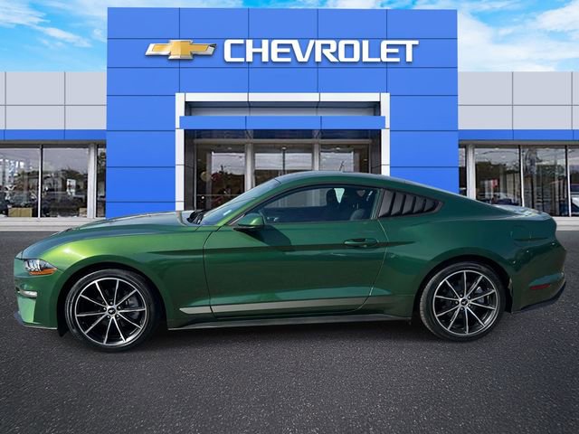 Used 2022 Ford Mustang EcoBoost w/ Equipment Group 101A image 5