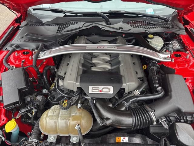 Used 2017 Ford Mustang GT Premium w/ Equipment Group 401A image 33