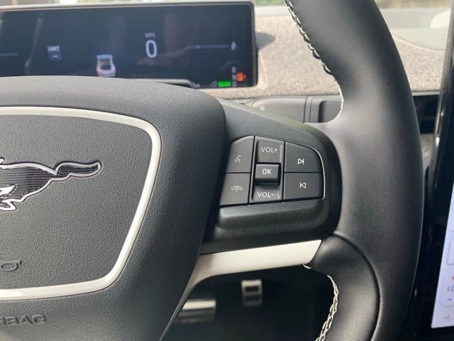 New 2025 Ford Mustang Mach-E GT image 21