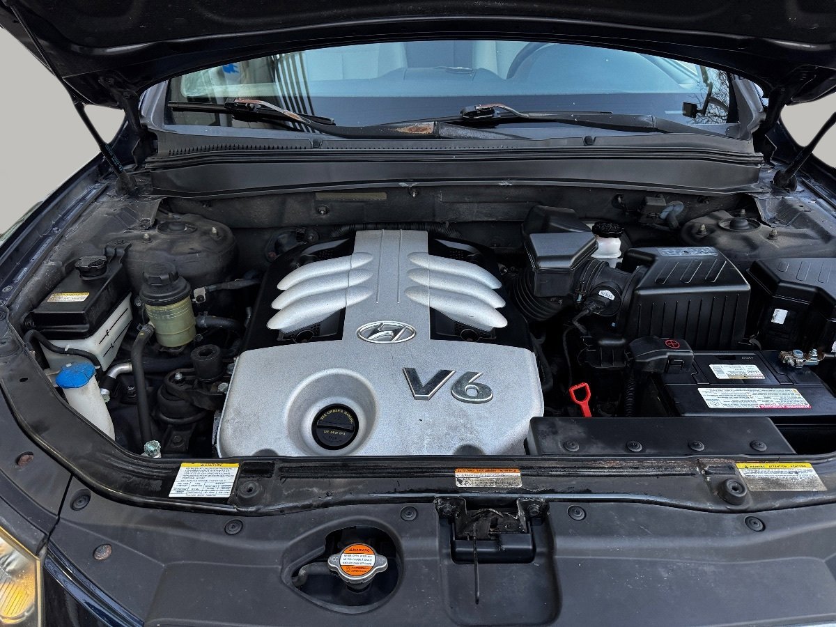 Used 2007 Hyundai Santa Fe SE image 13