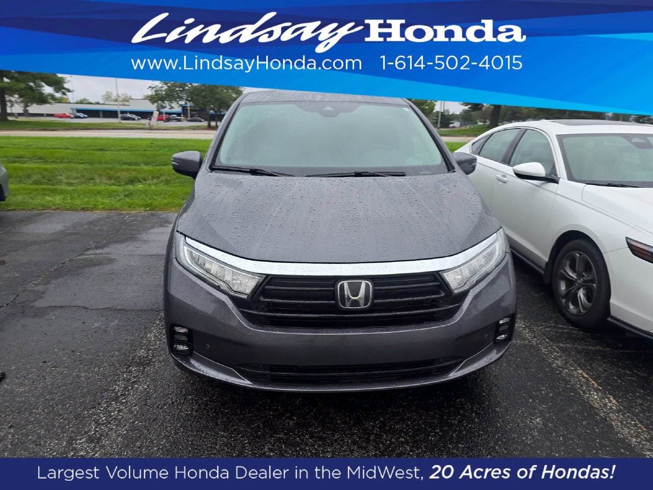 Used 2023 Honda Odyssey Elite image 2