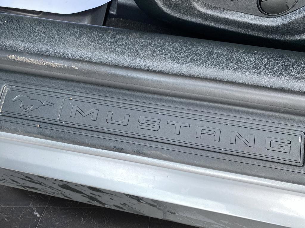 Used 2020 Ford Mustang EcoBoost w/ Equipment Group 101A image 39