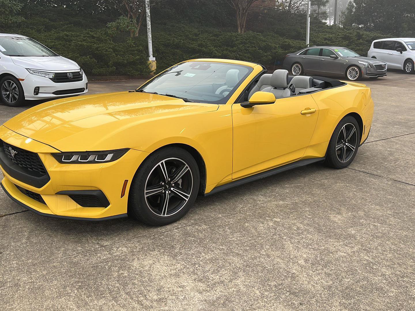 Used 2024 Ford Mustang Premium image 1