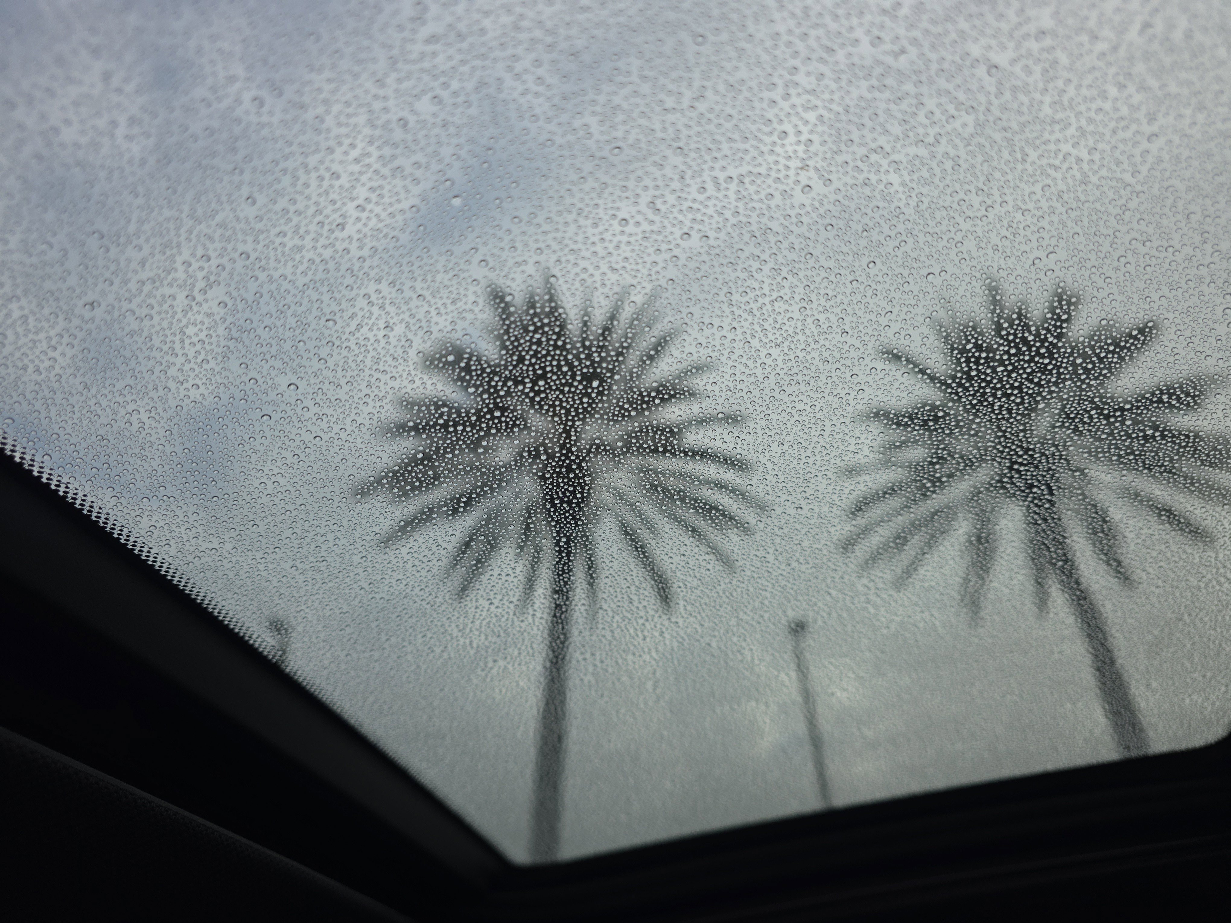 Used 2022 BMW X5 xDrive40i image 34