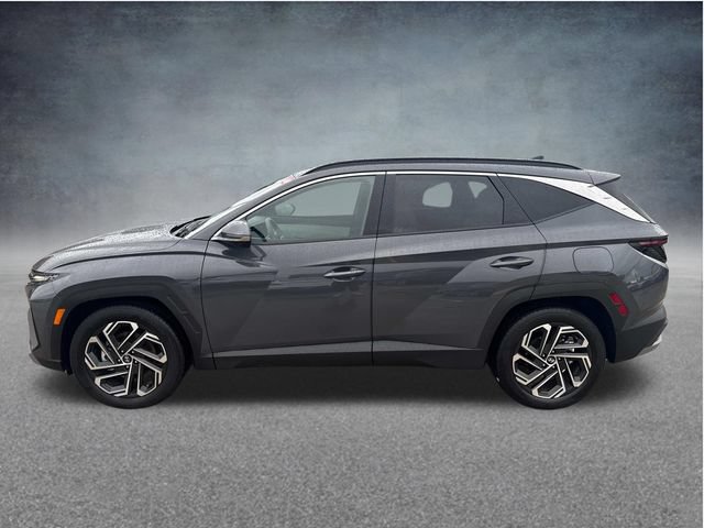 Used 2026 Hyundai Tucson Limited FWD image 6