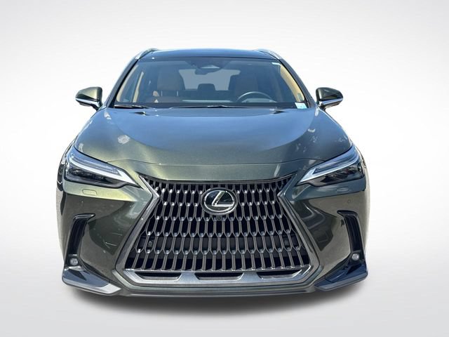 Used 2025 Lexus NX 350 AWD w/ Cold Area Package image 10