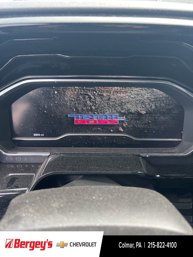 Used 2024 Chevrolet Silverado 1500 LT Trail Boss AWD/4WD image 30