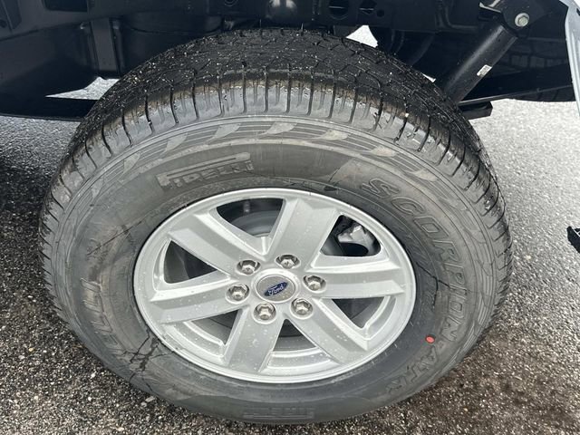 New 2025 Ford F150 XL w/ Equipment Group 103A High image 16