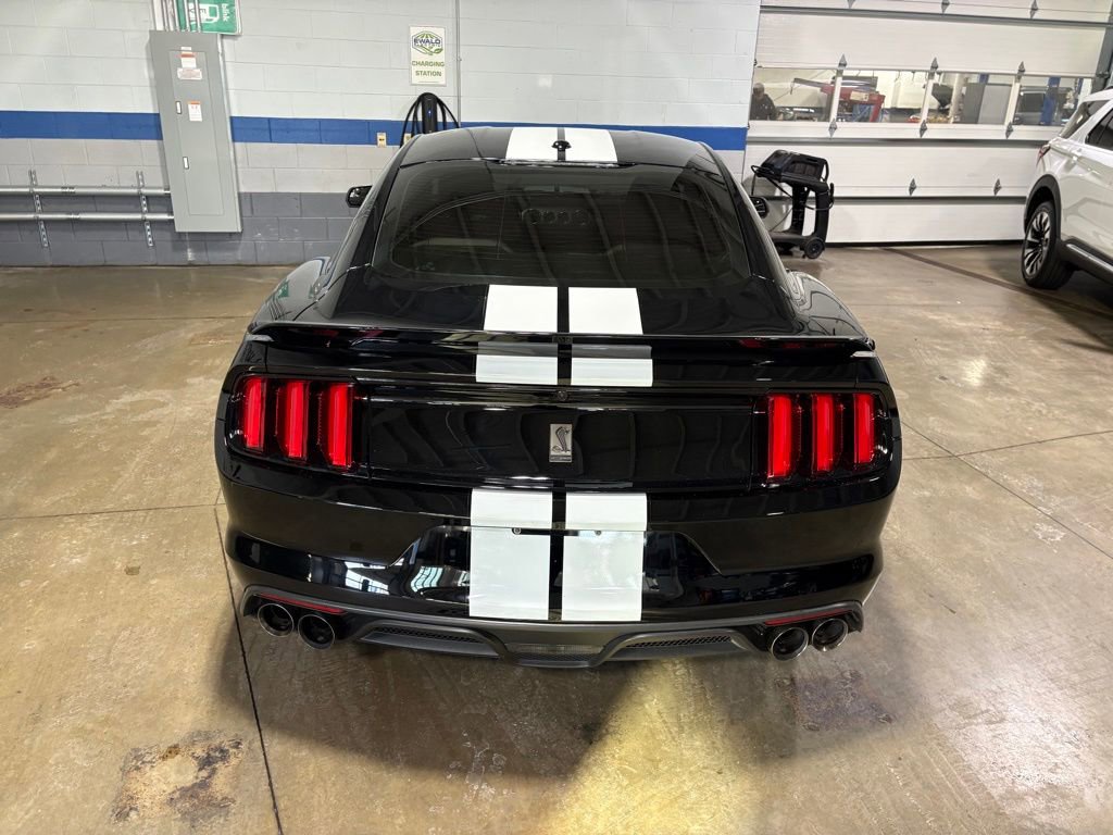 Used 2017 Ford Mustang Shelby GT350 image 11