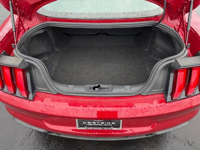 Used 2023 Ford Mustang Coupe w/ Equipment Group 101A image 30