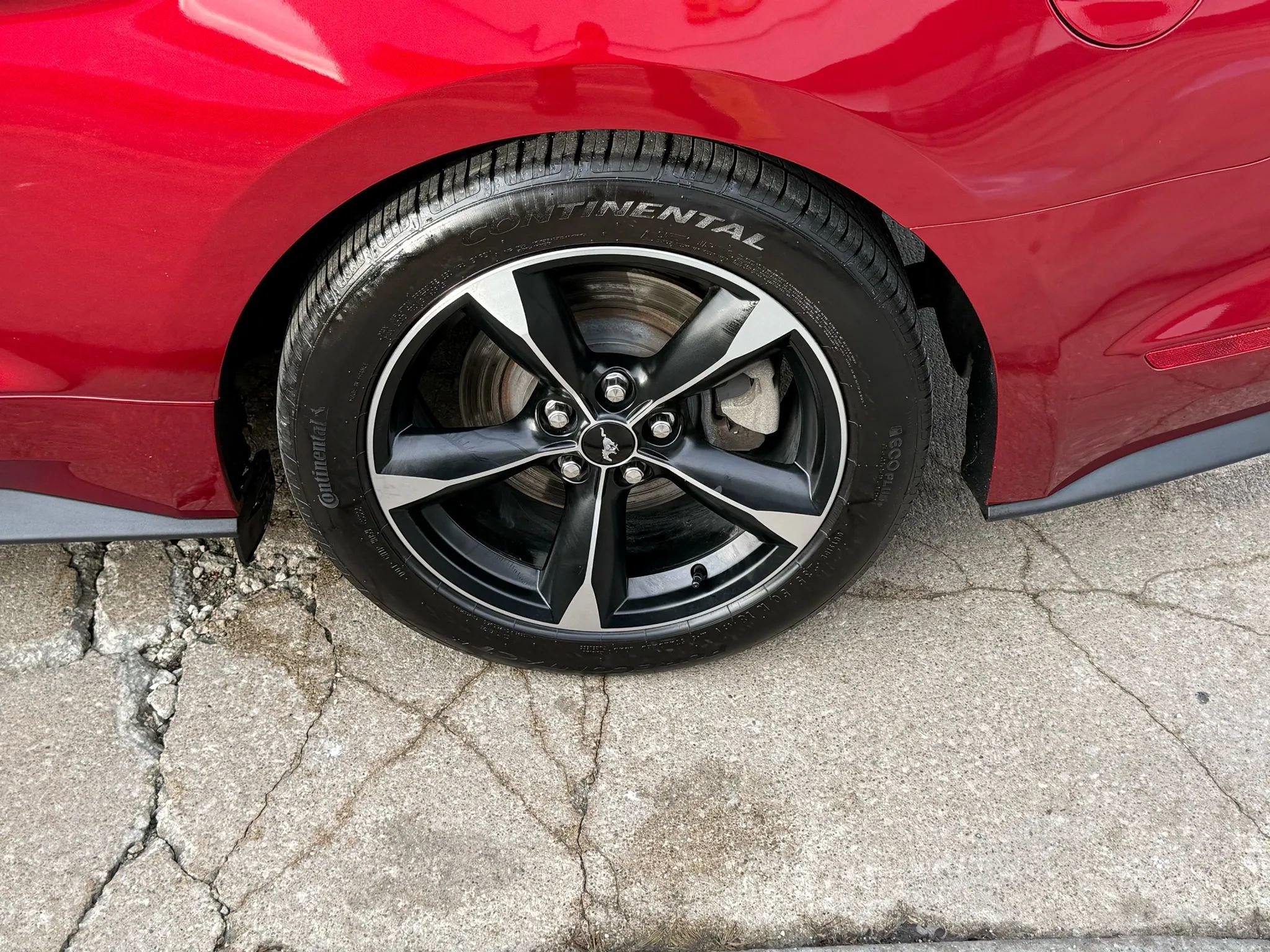 Used 2019 Ford Mustang Coupe w/ Equipment Group 101A image 40